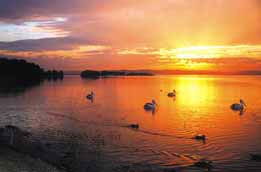 Two Shores Holiday Village - Hobart Tourism 4