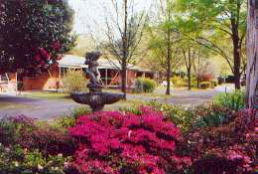 View Hill Holiday Units - Tourism TAS 0