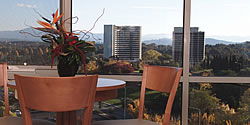 Waldorf Apartment Hotel Canberra - Hobart Tourism 5
