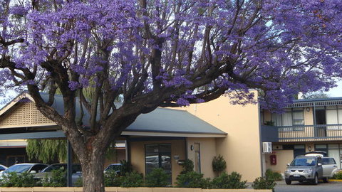 Welcome Inn 277 - Tourism TAS 2