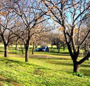 Wellington Caves Caravan Park - Hobart Tourism