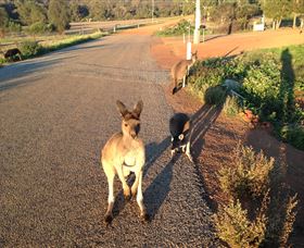 Bindoon WA Tourism TAS
