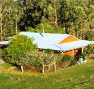 Cinnamon Coloureds Farmstay
