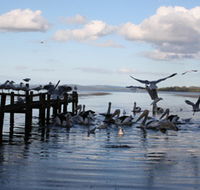 Pelicans At Denmark - Holiday Home