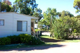 Acclaim Pine Grove Holiday Park - Tourism TAS 1