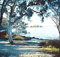 The Cove