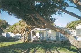 Yallingup Beach Holiday Park - Tourism TAS 1