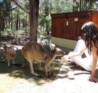 Yelverton Brook Eco Spa Retreat and Conservation Sanctuary - Tourism TAS