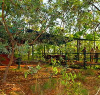 Arnhemland Barramundi Nature Lodge - Hobart Tourism