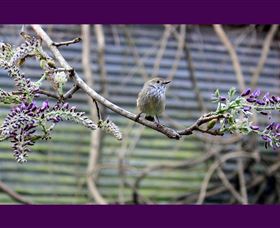 MossGrove Bed And Breakfast - Tourism TAS 2