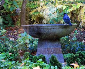 MossGrove Bed And Breakfast - Tourism TAS 4