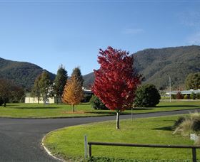 Talbingo NSW Tourism TAS