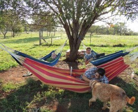 Childers Eco-lodge - Tourism TAS 1