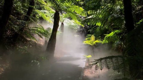 Australian National Botanic Gardens - Tourism TAS 4
