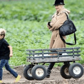 Perth City Farm Organic Markets - Tourism TAS