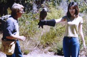 Eagles Heritage Raptor Wildlife Centre - Hobart Tourism 2