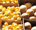 Brisbane Markets - Hobart Tourism 0