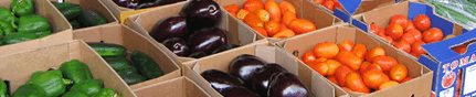 Brisbane Markets - Hobart Tourism 3