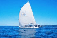 Manly Harbour Village - Tourism TAS