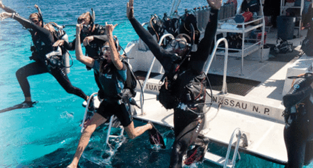 Snorkel Safari Brisbane - Hobart Tourism 0