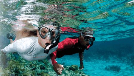 Snorkel Safari Brisbane - Hobart Tourism 1