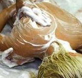 Exotique Massage - Tourism TAS