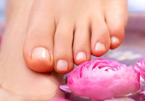 Indulge Spa Retreat - Tourism TAS 3