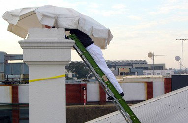 Conical Inc - Tourism TAS 1