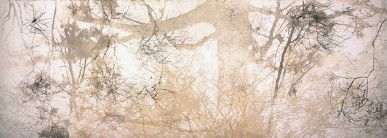 Dianne Tanzer Gallery & Projects - Tourism TAS 3