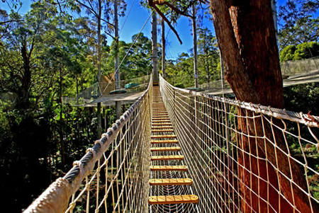  Tourism TAS