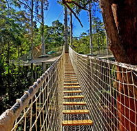 Thunderbird Park - Tourism TAS