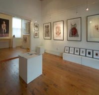 Bird's Gallery - Hobart Tourism