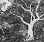 Tacit Contemporary Art - Tourism TAS