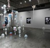 Nellie Castan Gallery - Tourism TAS