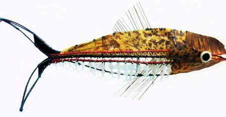 Vivien Anderson Gallery - Tourism TAS 3