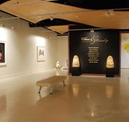 Counihan Gallery In Brunswick - Tourism TAS