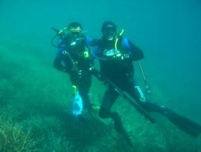 Pelican Charters - Tourism TAS 1