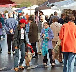 Arts Nunawading Inc - Tourism TAS 0