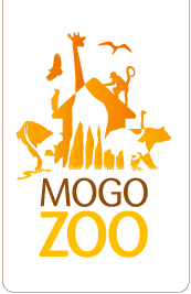 Mogo Zoo - Tourism TAS