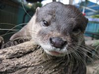 Underwater World - Tourism TAS 1