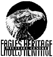 Eagles Heritage - Tourism TAS