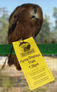 Eagles Heritage - Tourism TAS 1