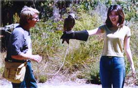 Eagles Heritage - Tourism TAS 2