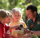 Cleland Wildlife Park - Tourism TAS