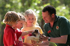 Cleland Wildlife Park - Tourism TAS 0