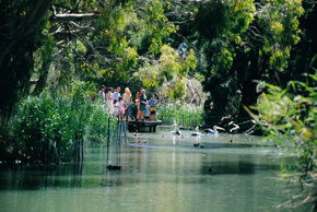 Cleland Wildlife Park - Tourism TAS 1