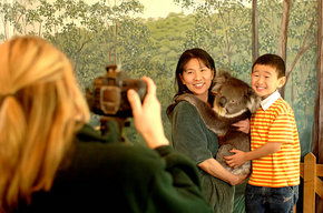 Cleland Wildlife Park - Tourism TAS 2