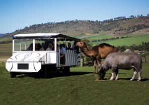 Zoo Doo Wildlife Park - Hobart Tourism 2