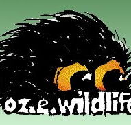 OZe Wildlife - Tourism TAS