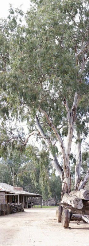 Pioneer Settlement - Tourism TAS 1